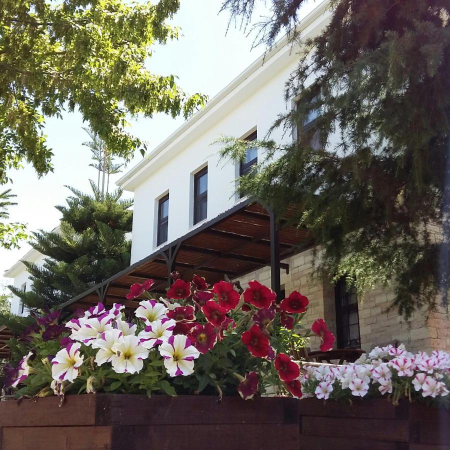 Sivota Apartments Athina Extérieur photo